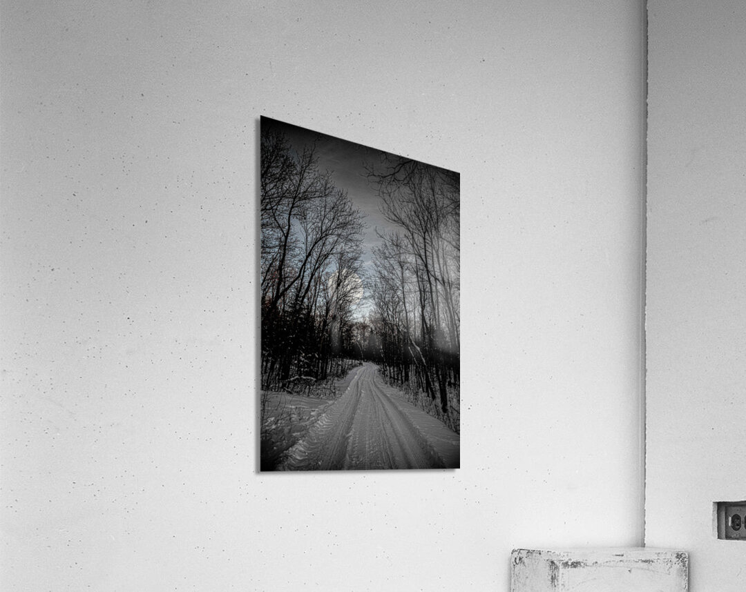 JBS 0236  Acrylic Print