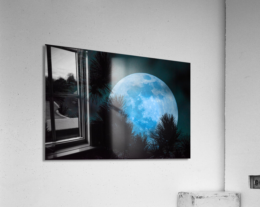 JBS 0093  Acrylic Print