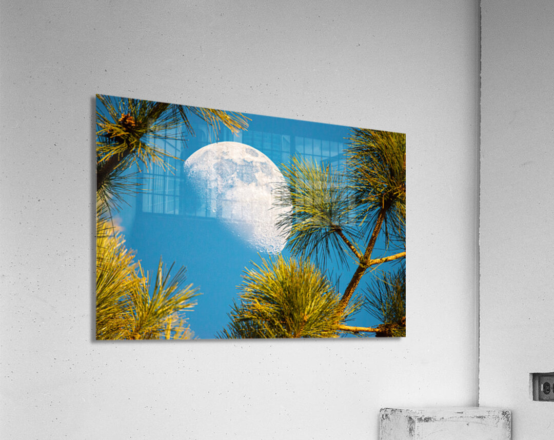 JBS 9958  Acrylic Print