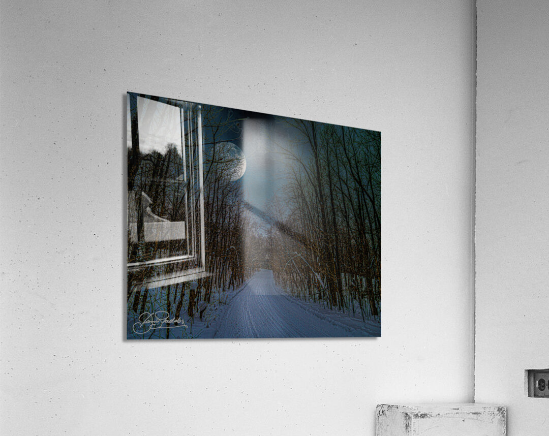 DSC 4175  Acrylic Print