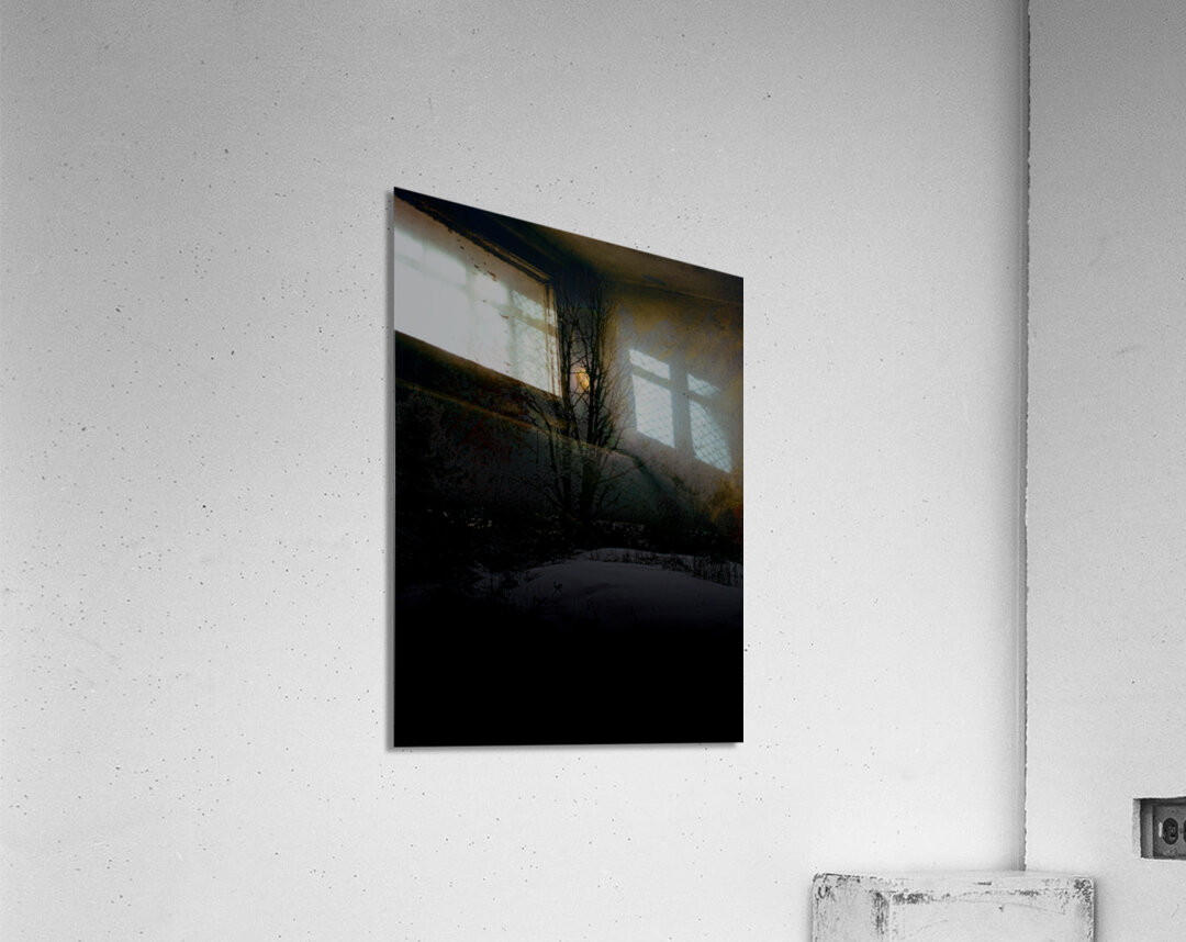 JBS 8045 Acrylic Print