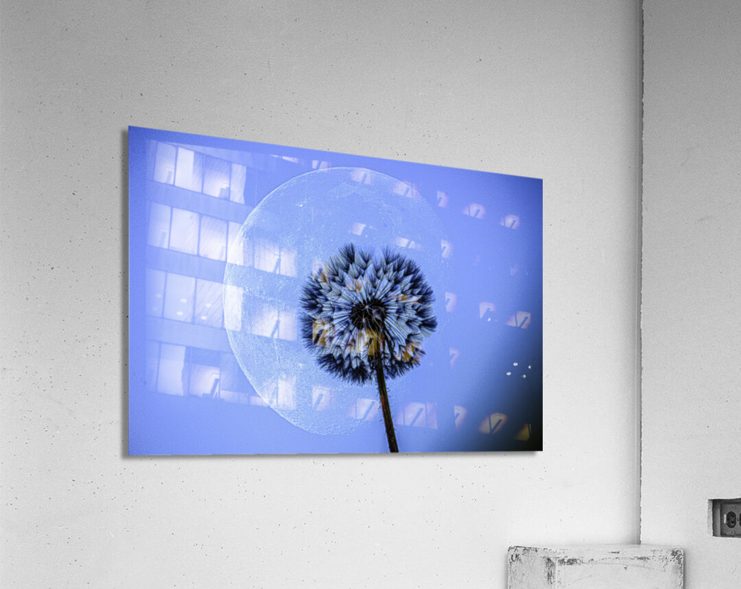 JBS 1373  Acrylic Print