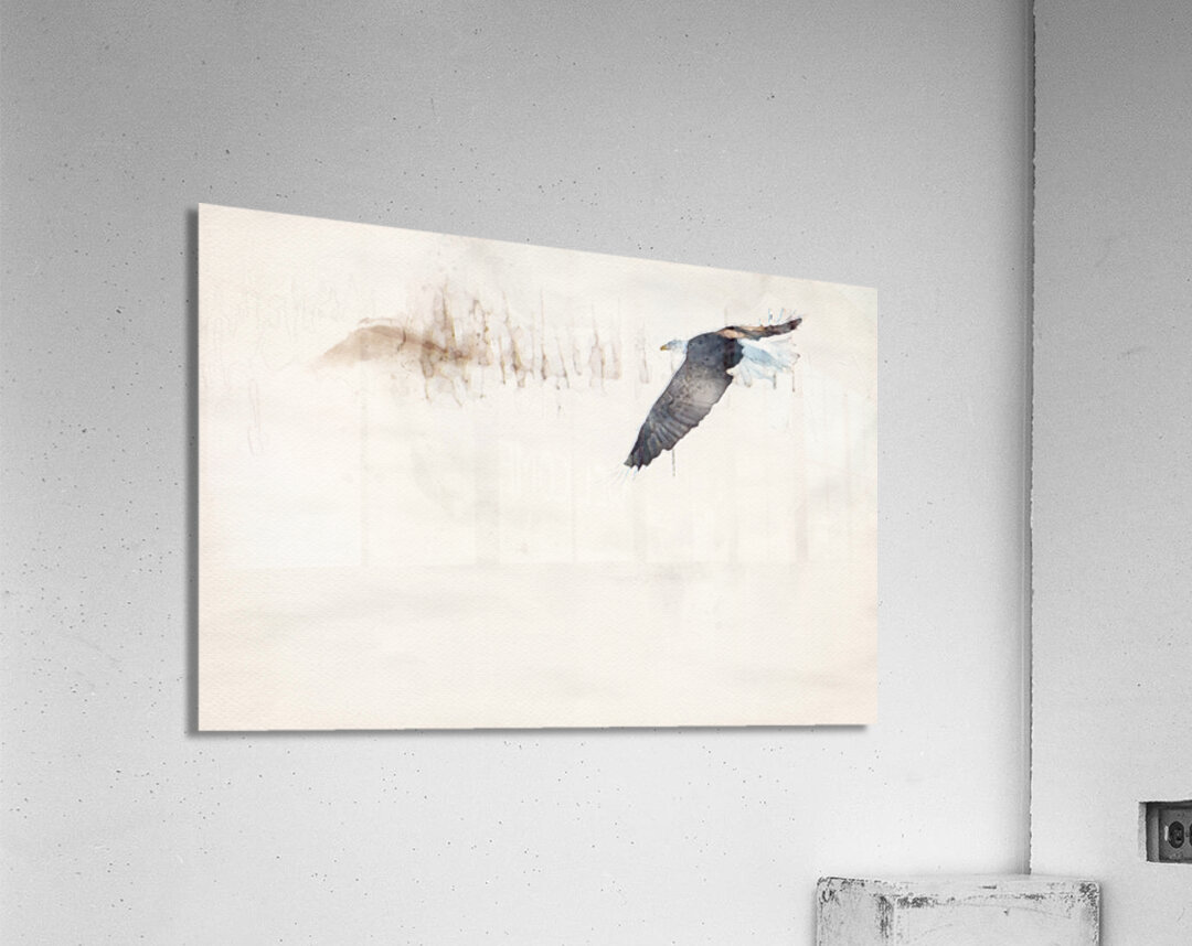 JBS 8846wc Acrylic Print