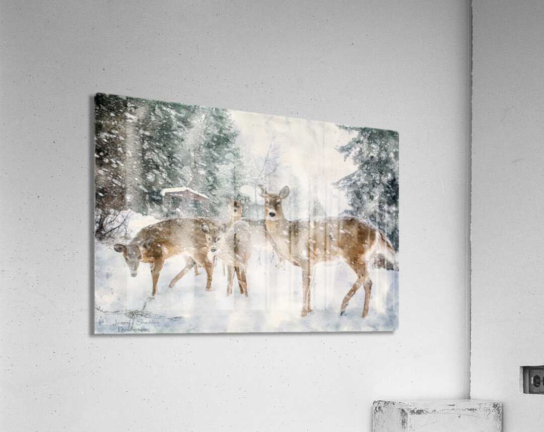 JBS 3204 2  Acrylic Print