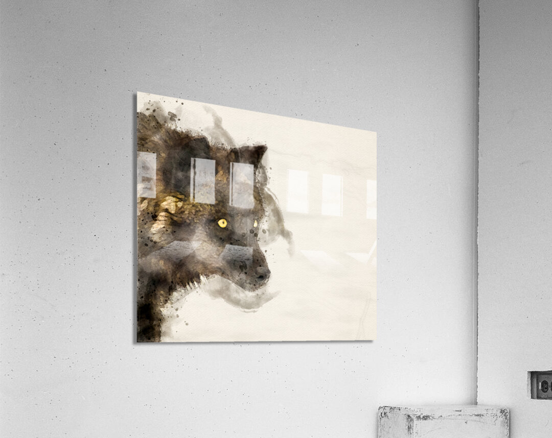 JBS 9070 Acrylic Print