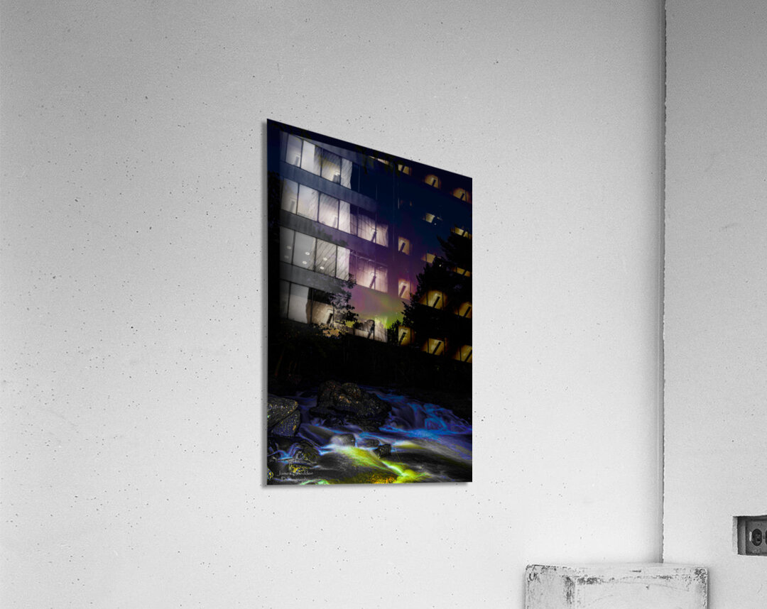 nl12 3858  Acrylic Print