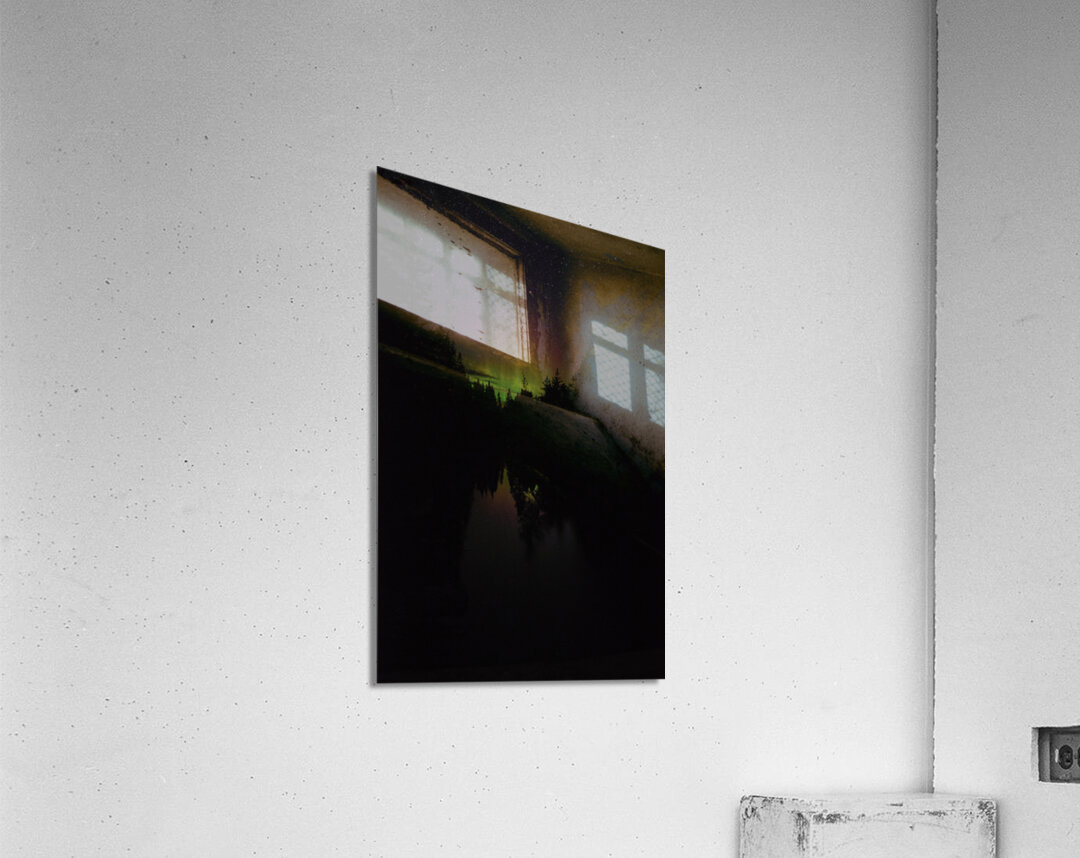 swamp light Acrylic Print