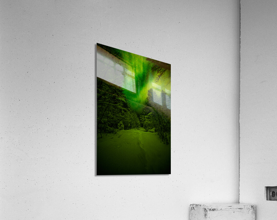 Z62 0234 2  Acrylic Print