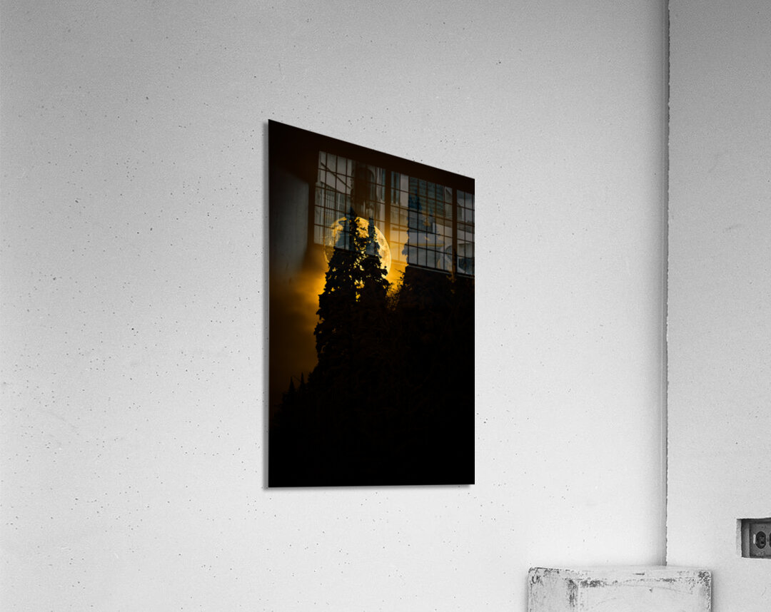 CRC 0731 Acrylic Print