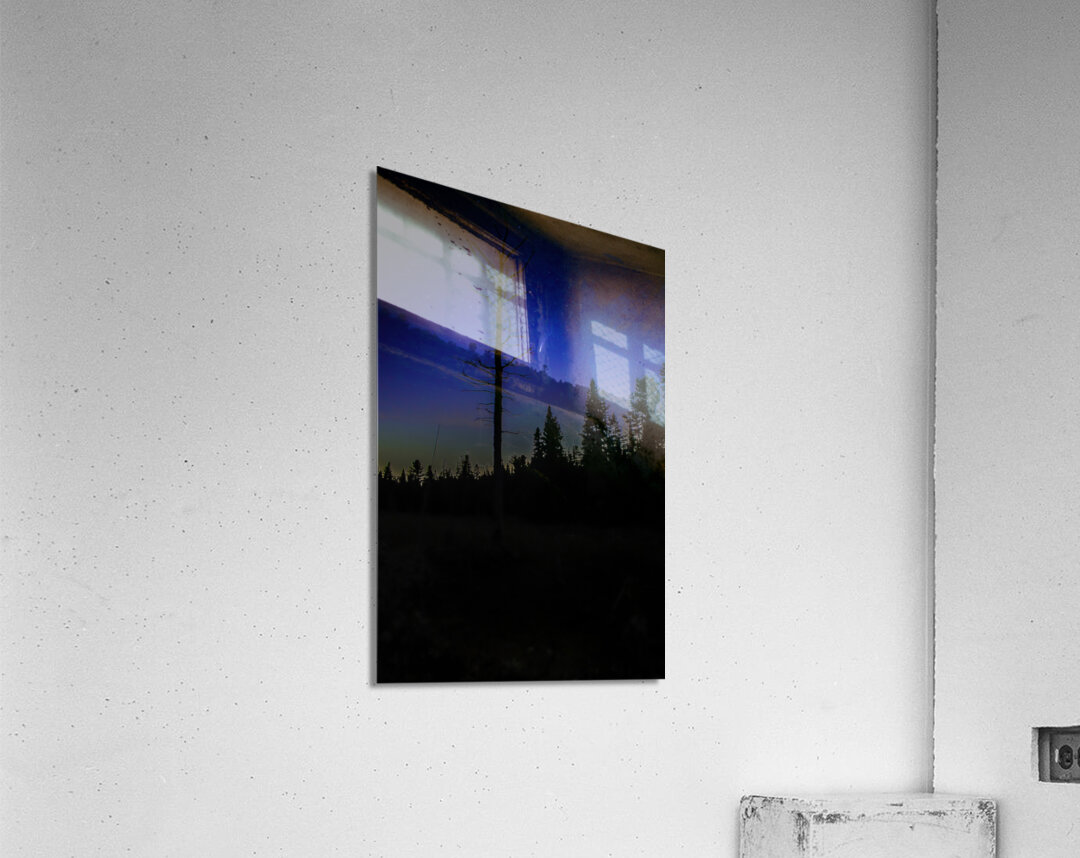 JBS 3699 3 Acrylic Print