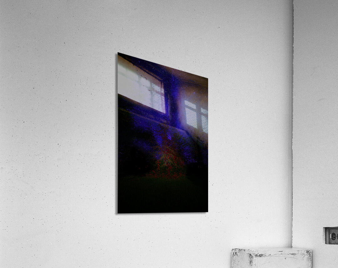 JBS 3648  Acrylic Print