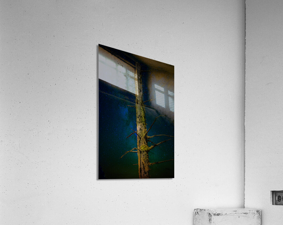 JBS 0996 Acrylic Print