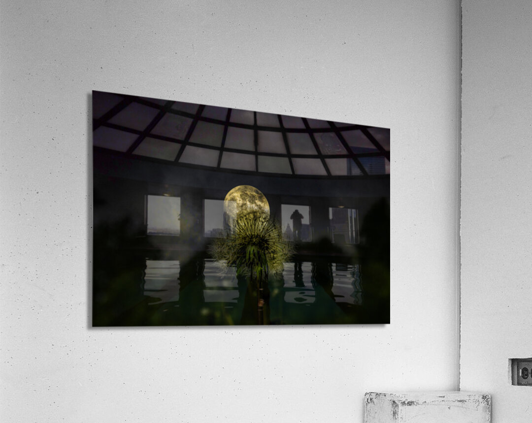 JBS 4984 1 Acrylic Print