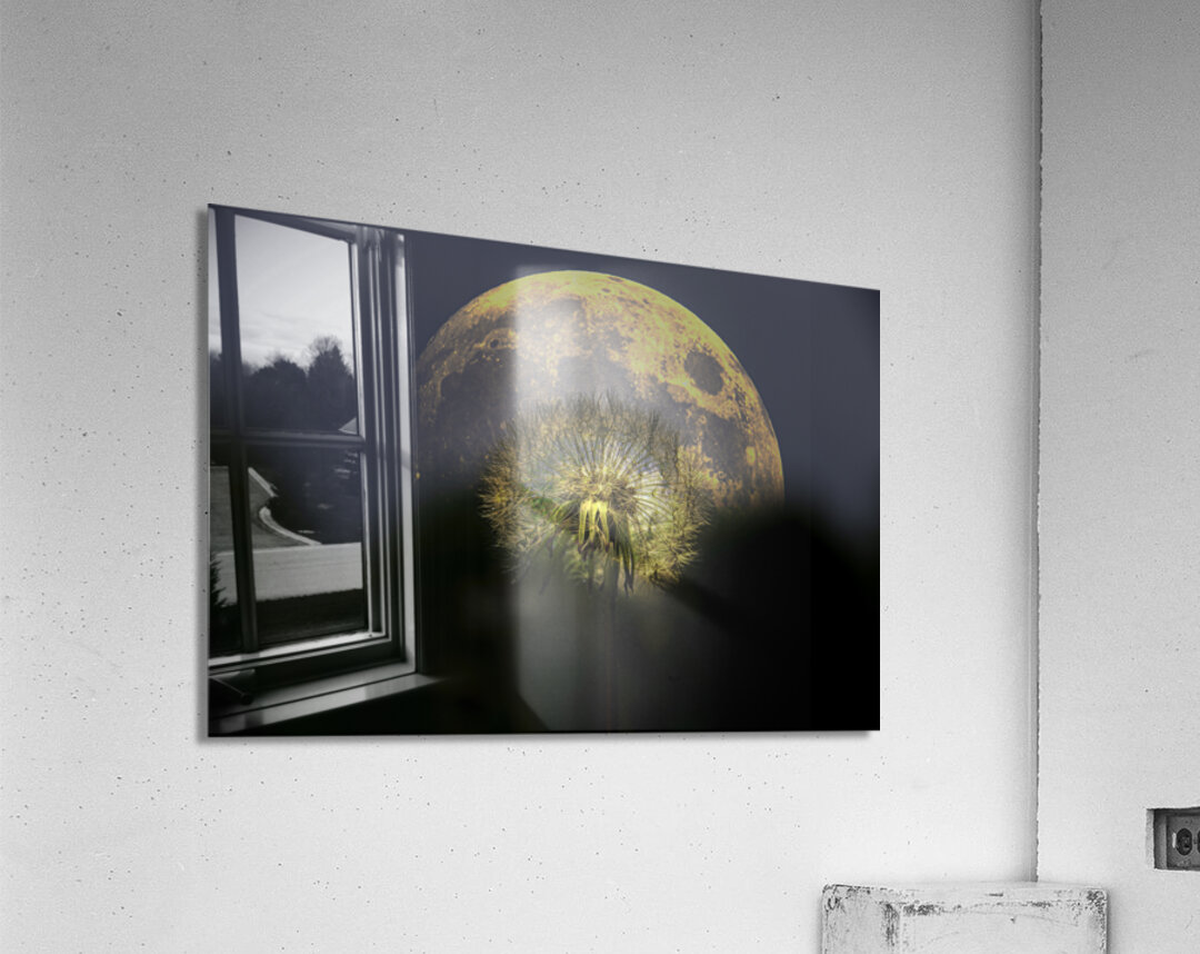 JBS 4981 2 Acrylic Print