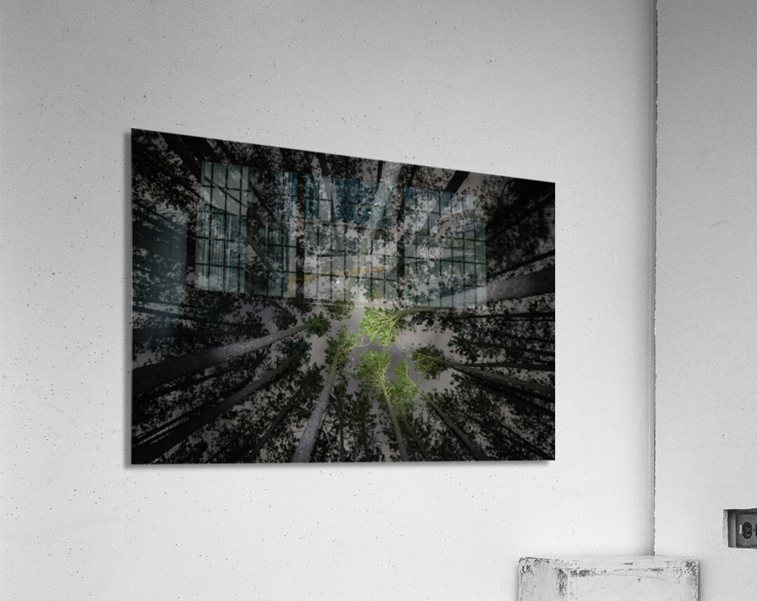 JBS 5553  Acrylic Print