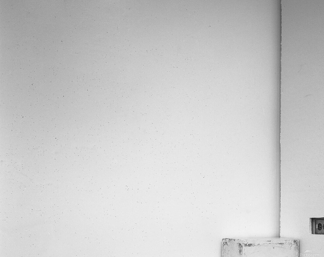 DSC 5683 Acrylic Print