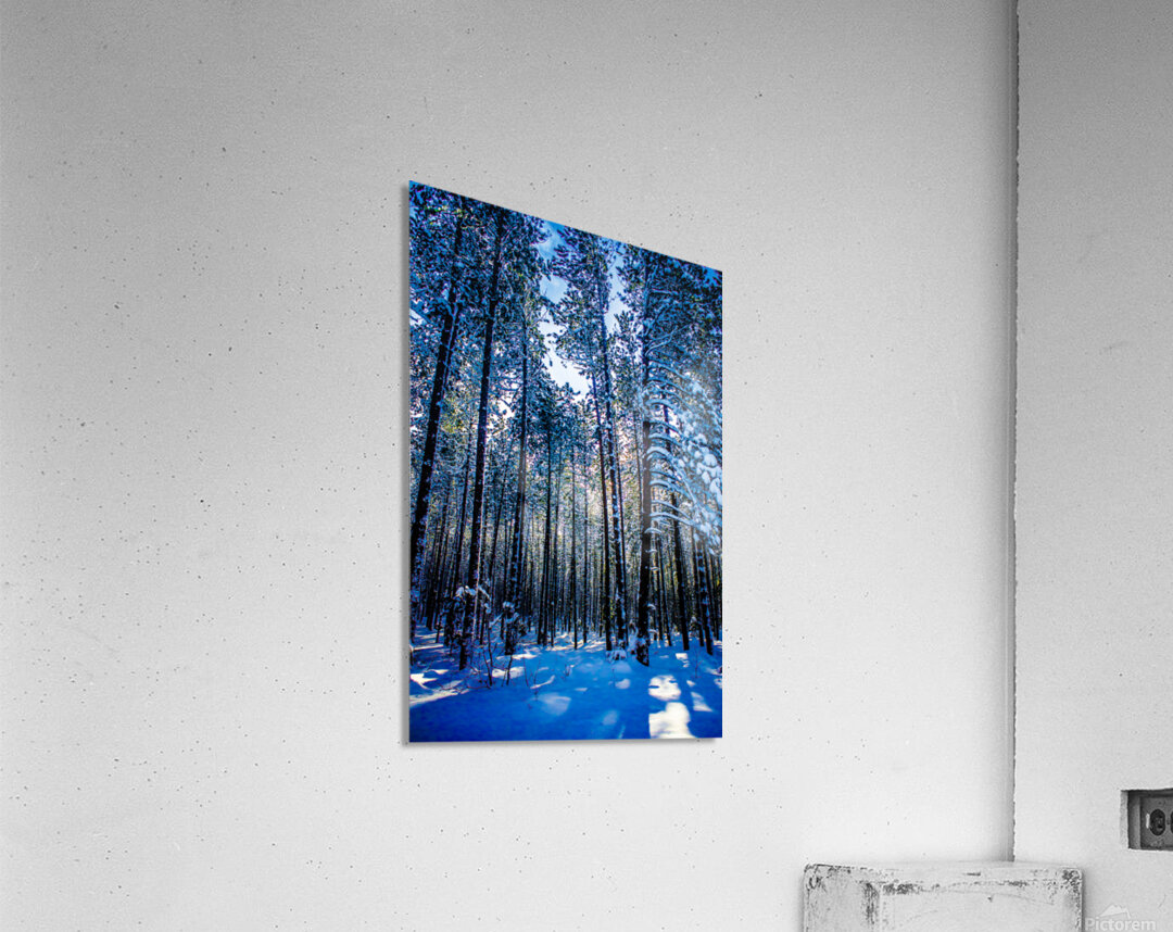 JBS 4409 Acrylic Print