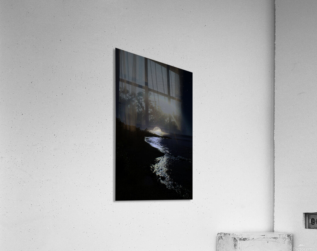 JBS 3166 Acrylic Print