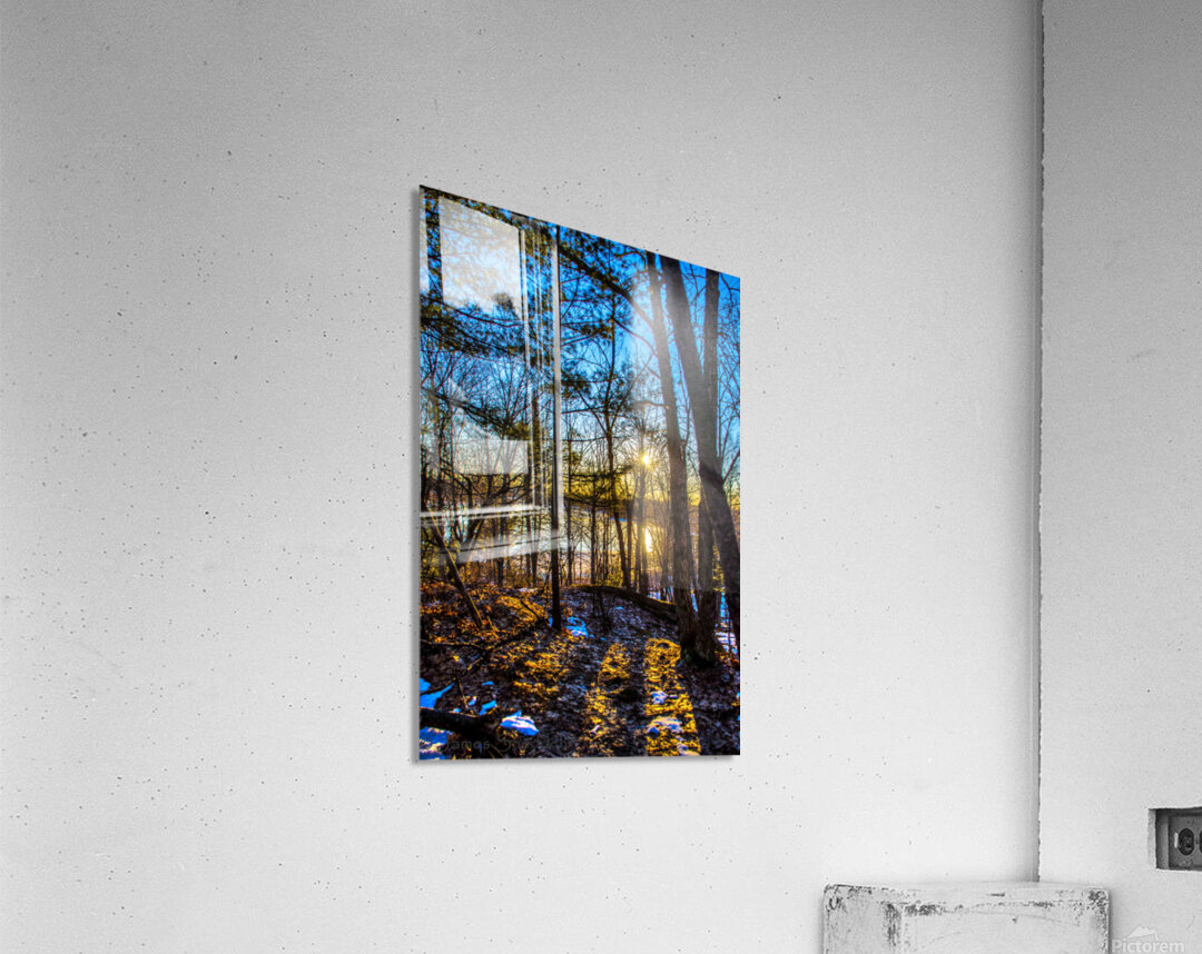 JBS 7909 Acrylic Print