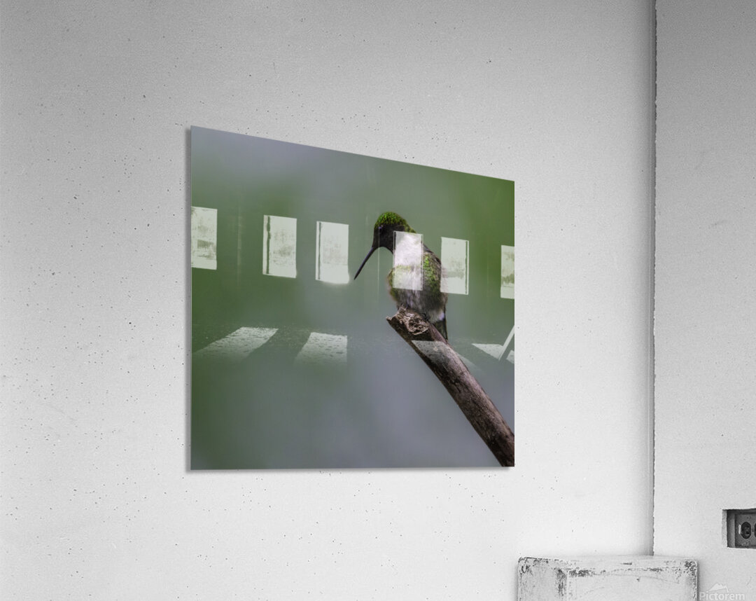 JBS 1233 Acrylic Print