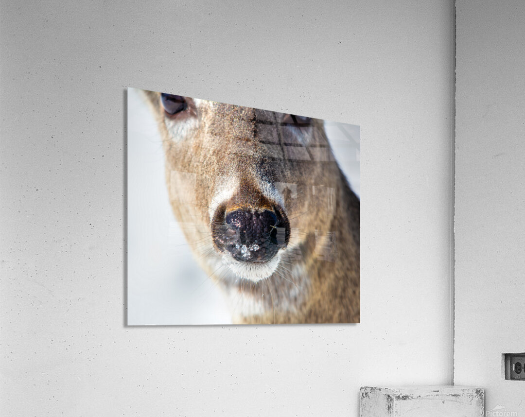 JBS 0540 Acrylic Print