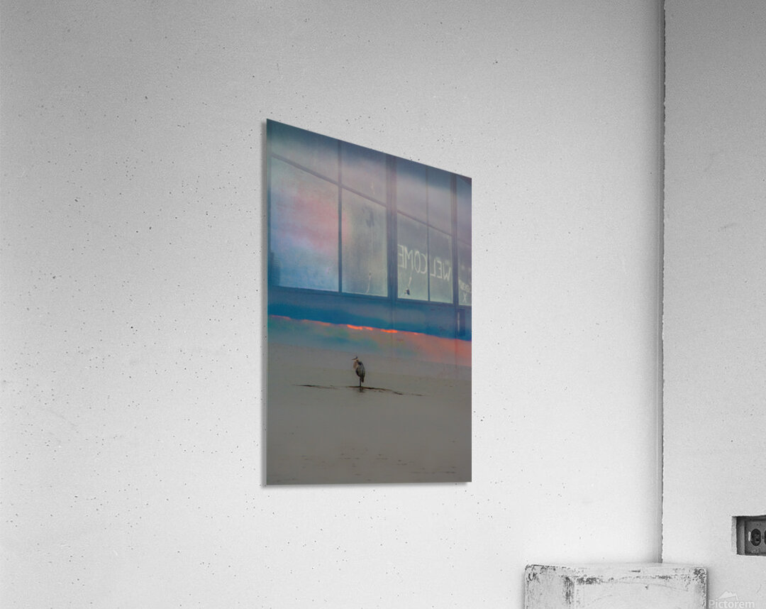 JBS 4325 Acrylic Print