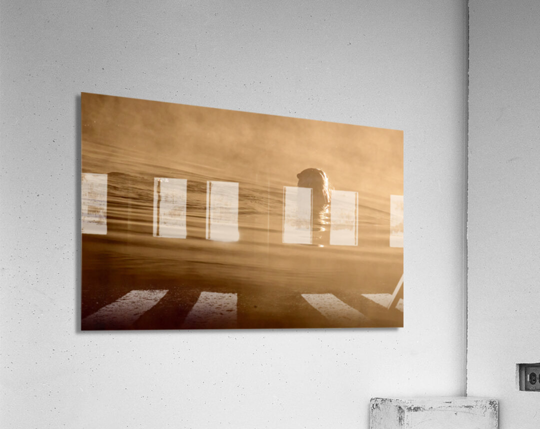 DSC 1719 Acrylic Print