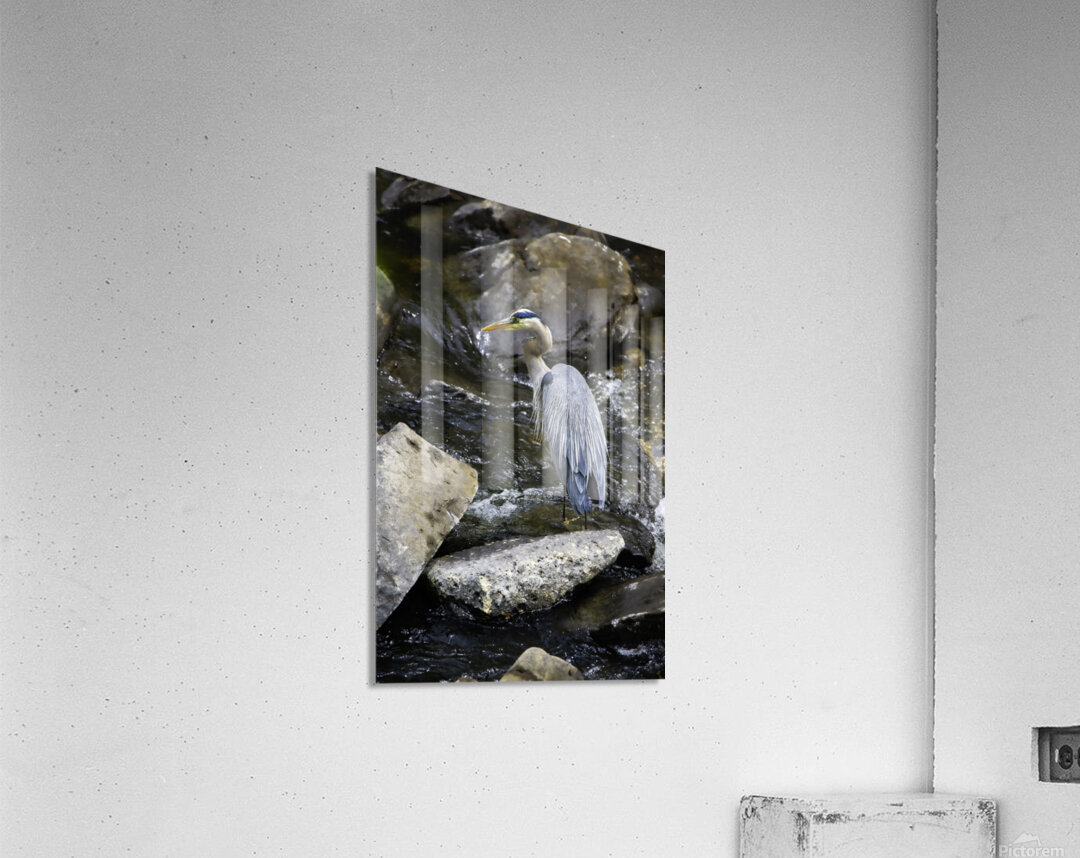 JBS 1574 Acrylic Print