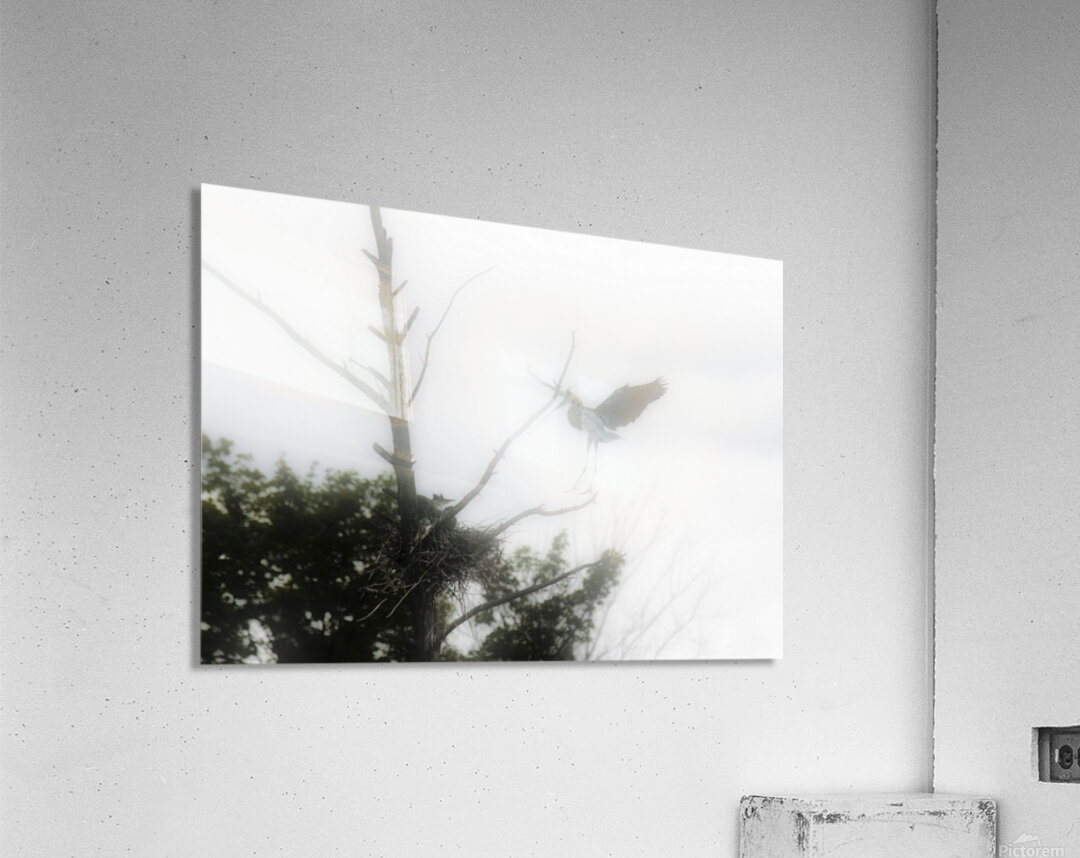 JBS 1831 Acrylic Print