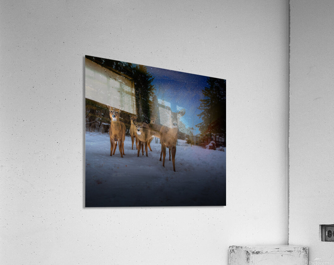 JBS 3174 2  Acrylic Print