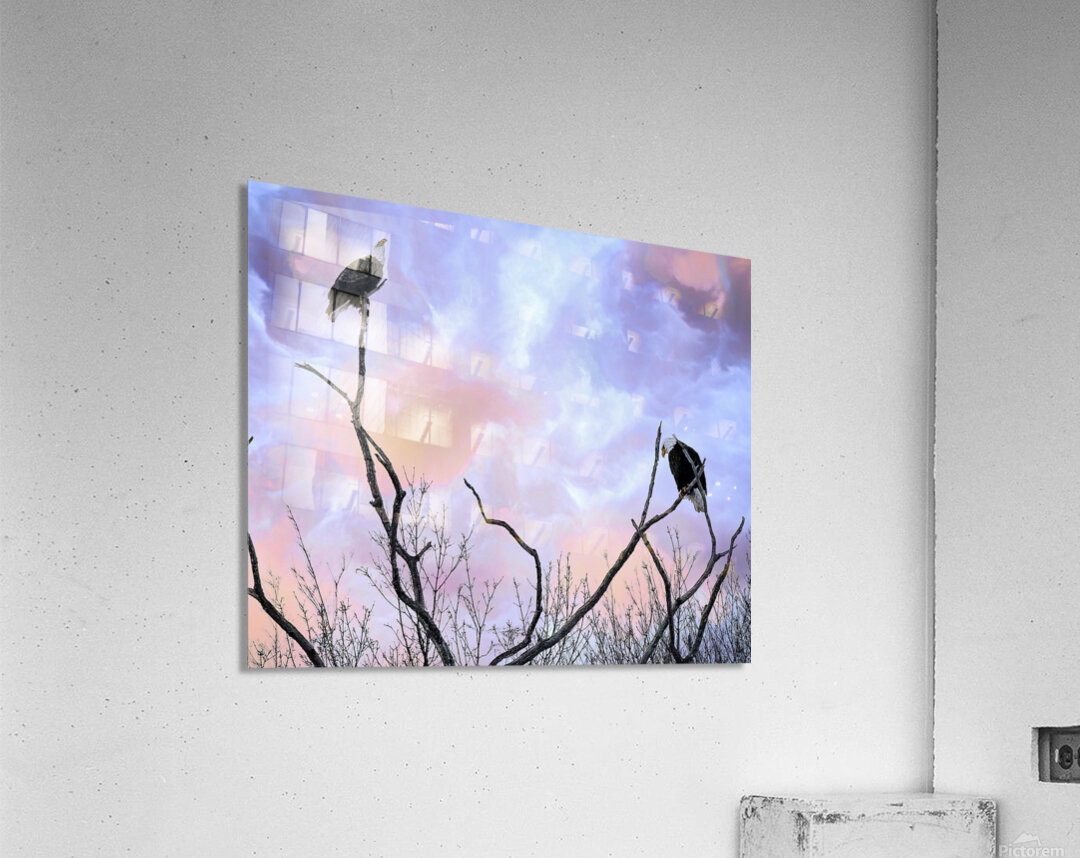 DSC 0357 Acrylic Print