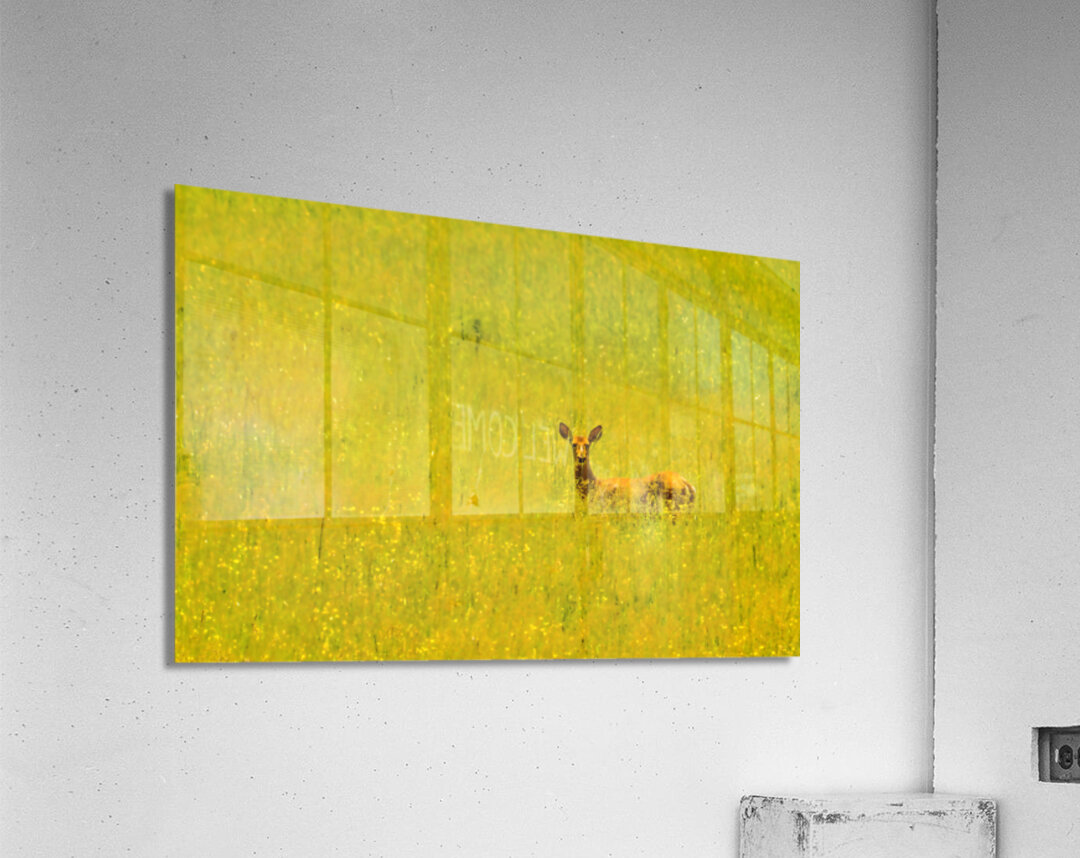 JBS 3007 Acrylic Print