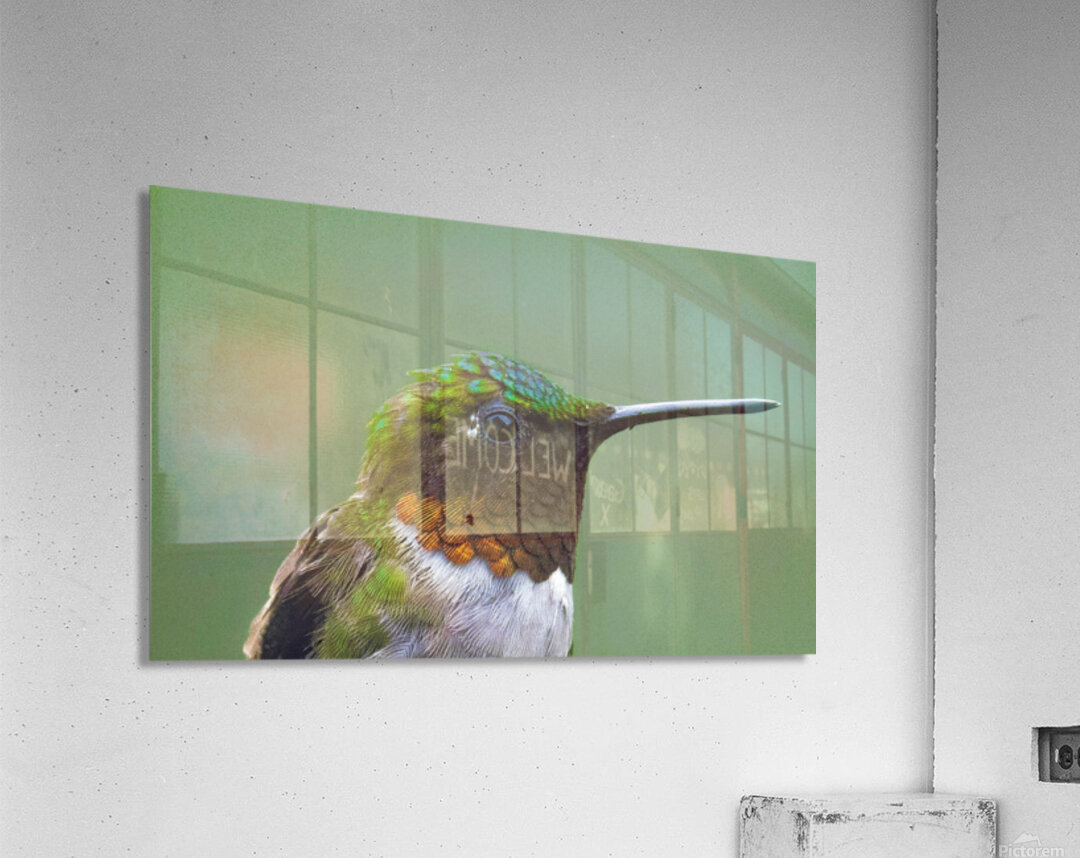 JBS 4152 Acrylic Print