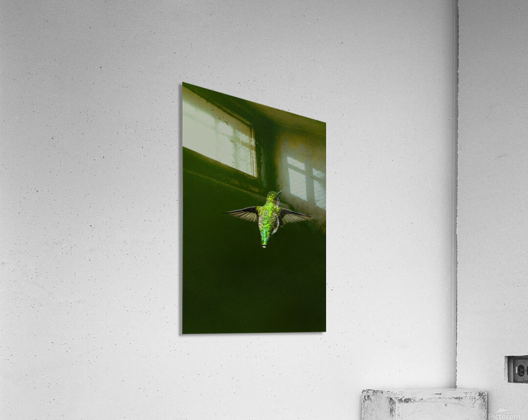 JBS 1467 Acrylic Print