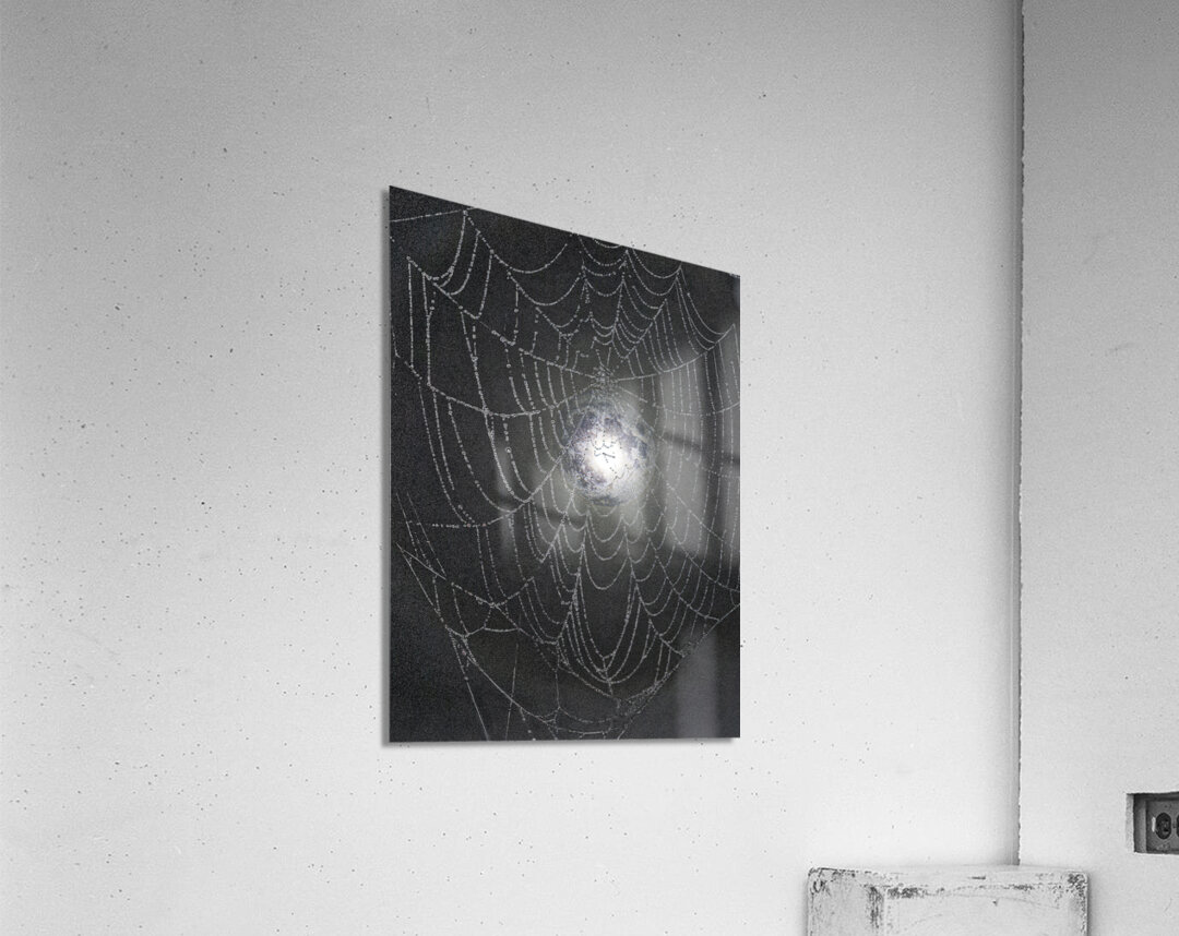 ZJS 8300  Acrylic Print