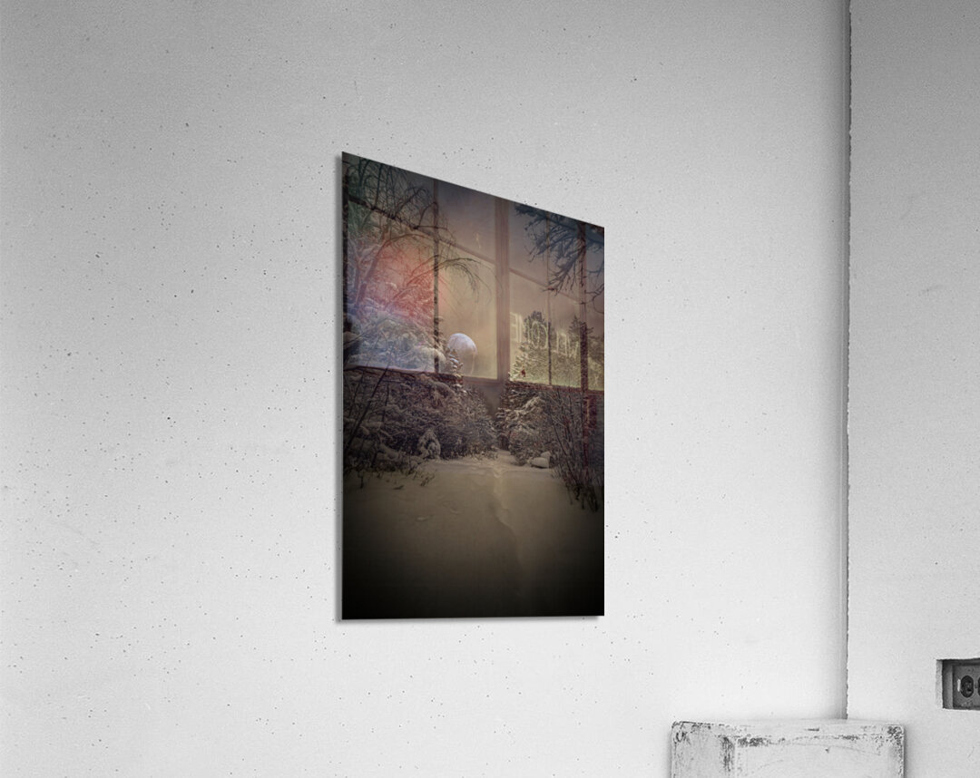 Z62 0235 2  Acrylic Print