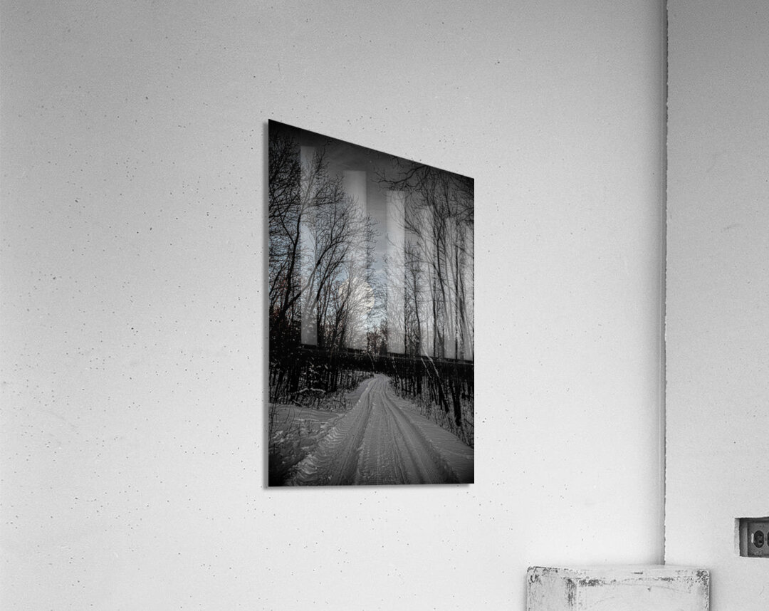 JBS 0236  Acrylic Print