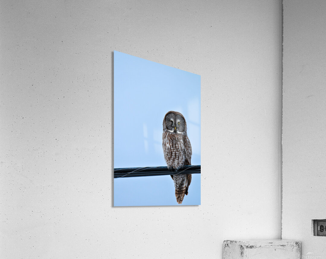 JBS 7303 Acrylic Print