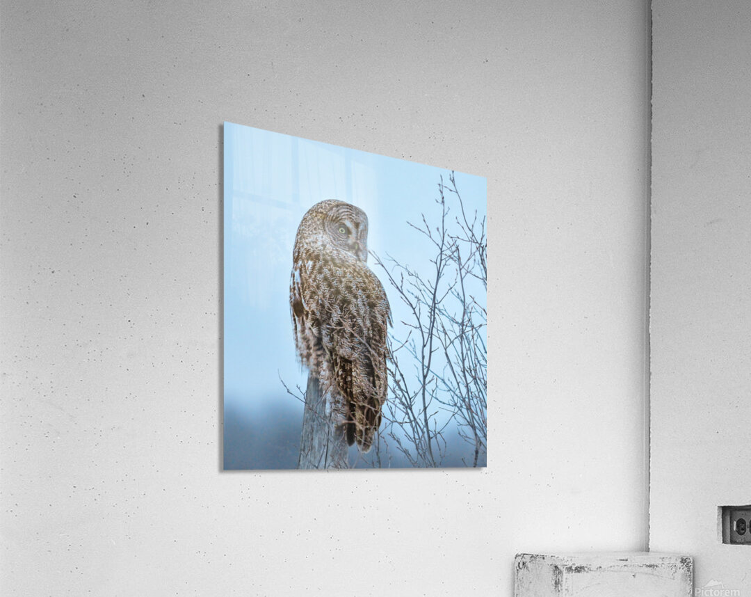 JBS 5394 Acrylic Print