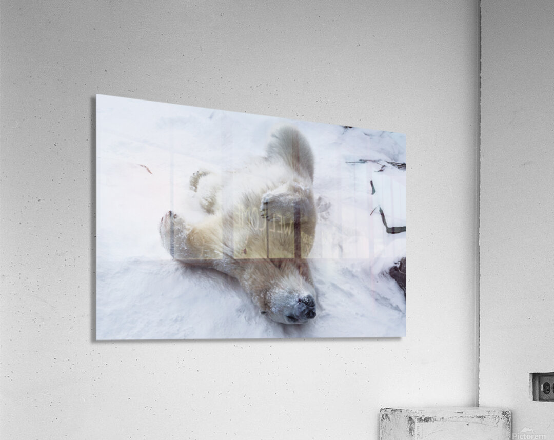 JBS 8390 Acrylic Print