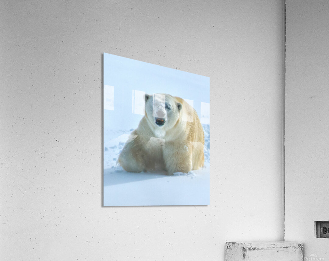 JBS 9357 Acrylic Print