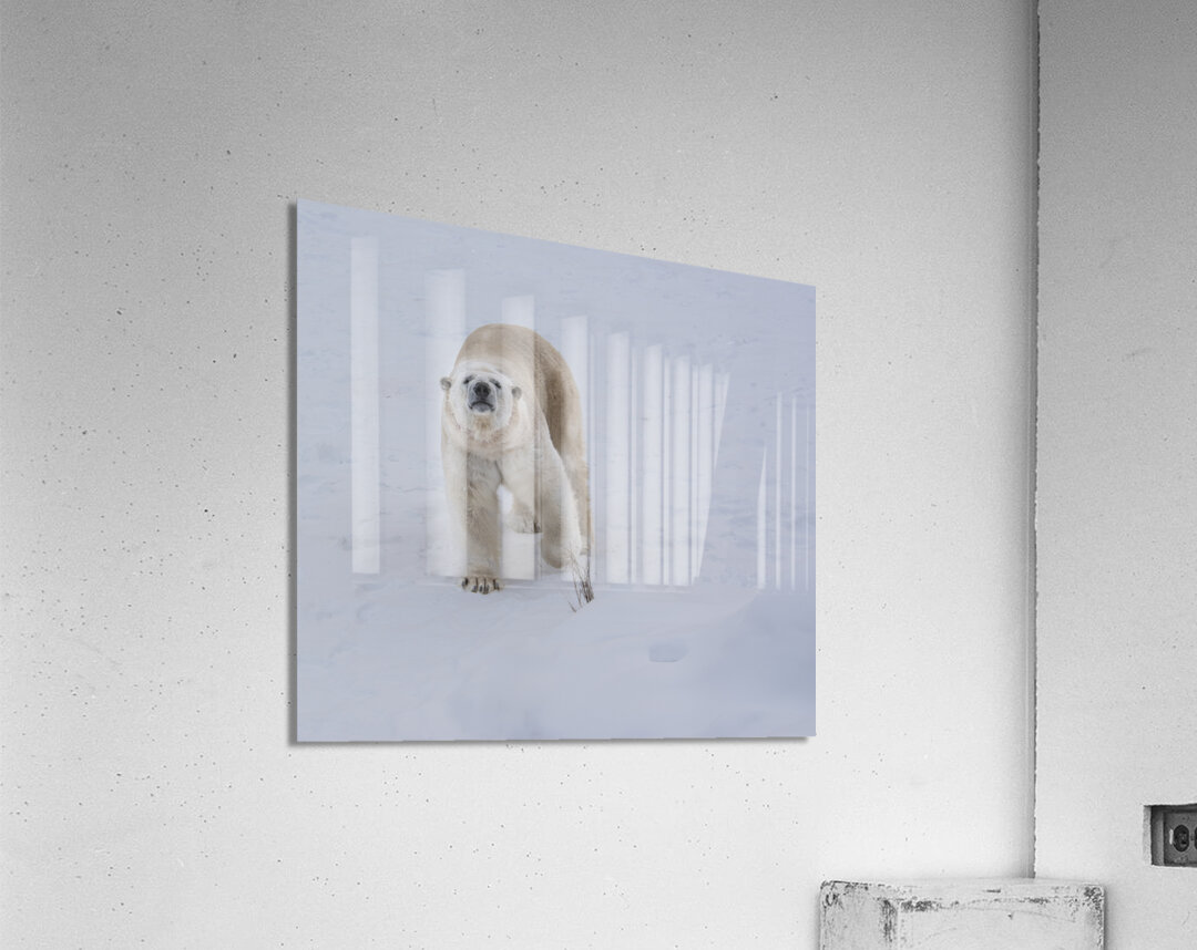 JBS 8219 Acrylic Print