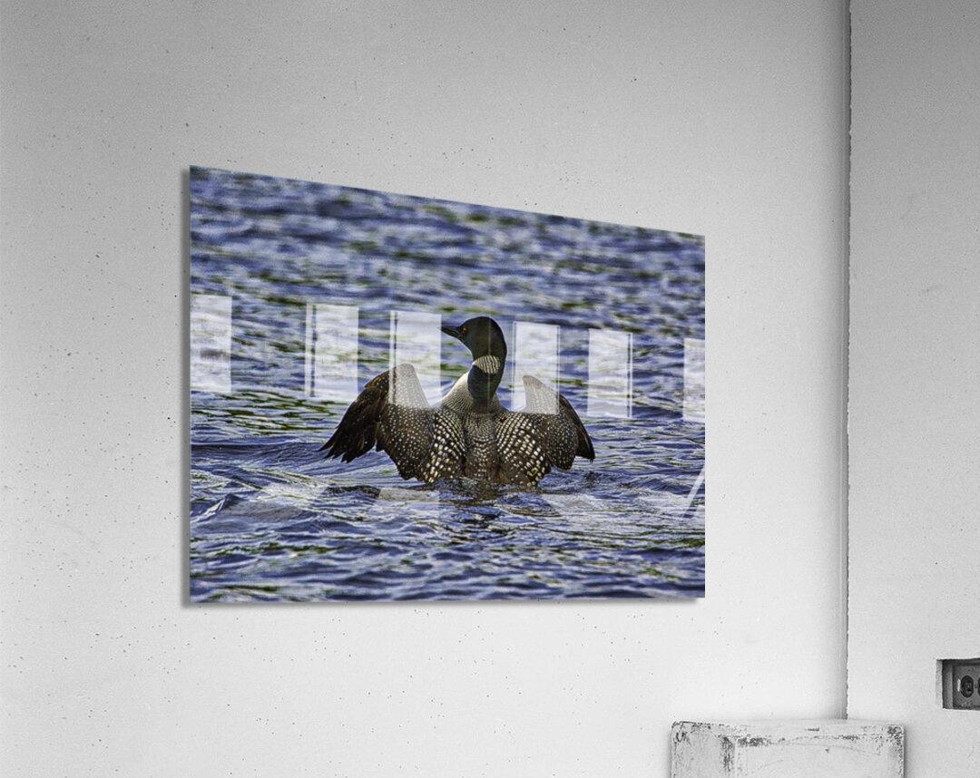 JBS 23862 Acrylic Print