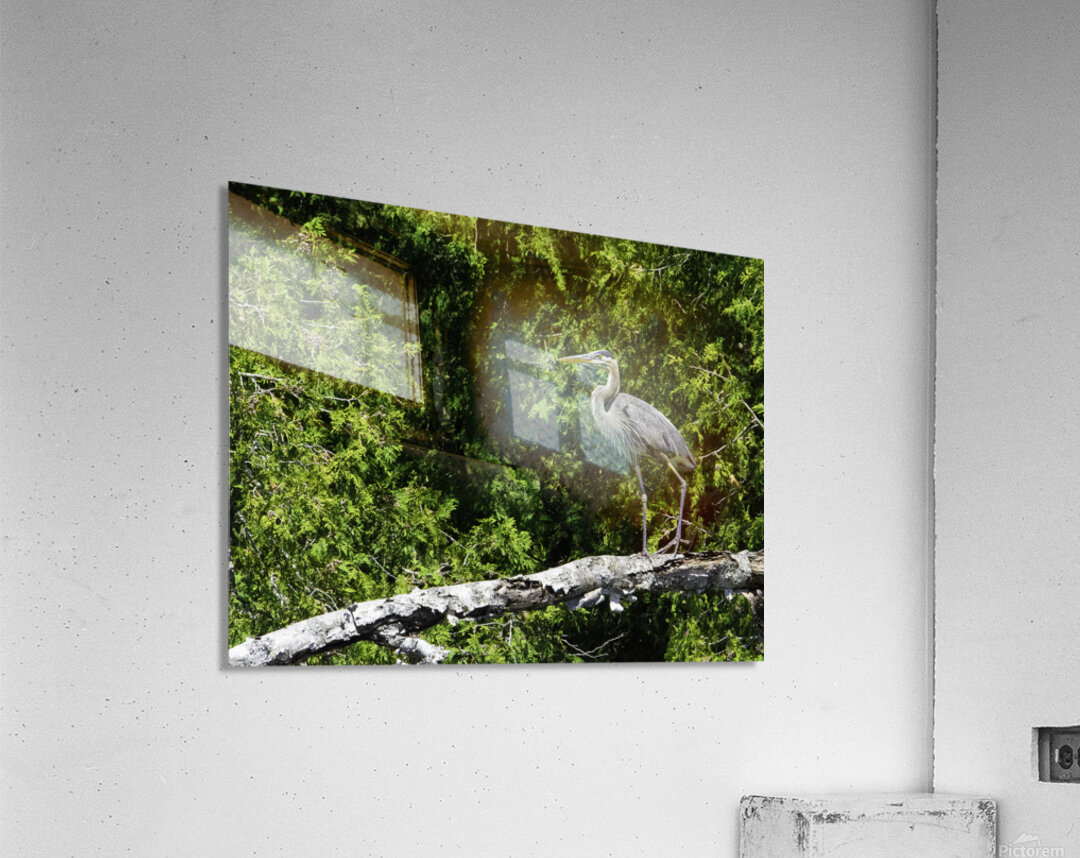 JBS 6779 Acrylic Print