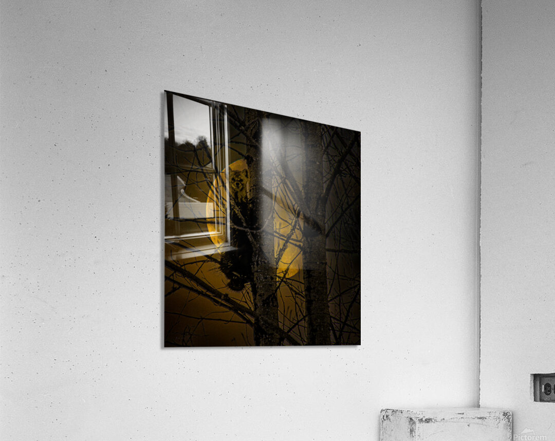 JBS 52971 Acrylic Print