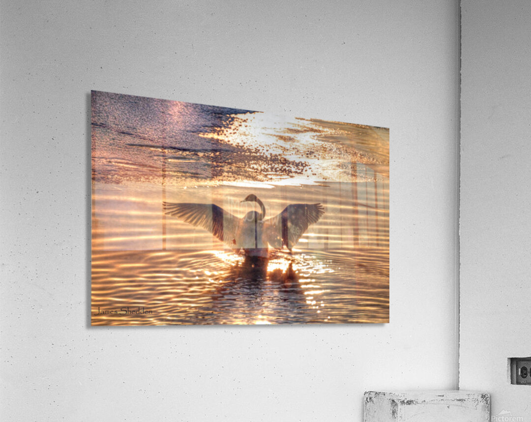 JBS 5877  Acrylic Print