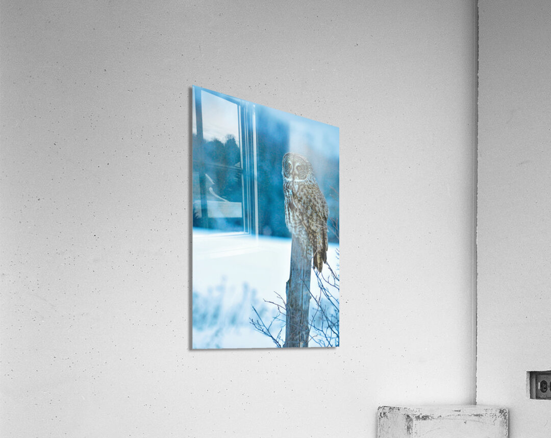 jbs 5420-2 Acrylic Print