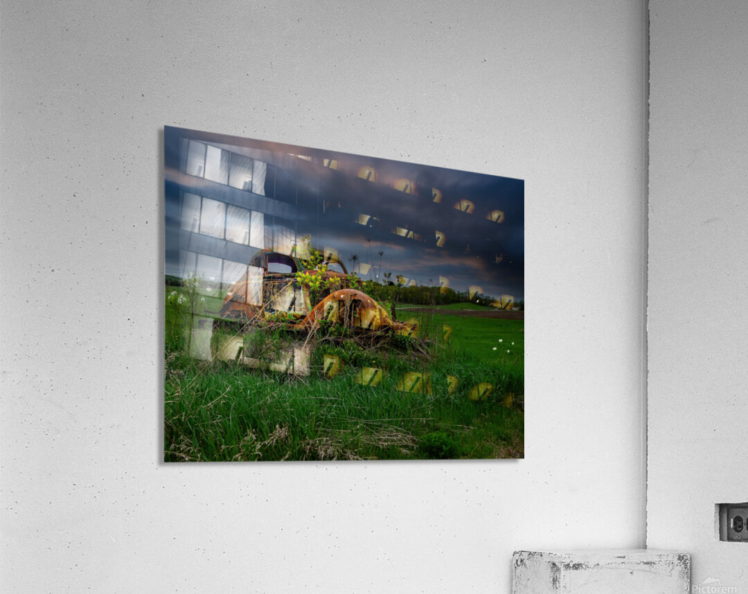 ZJS 9866 Acrylic Print