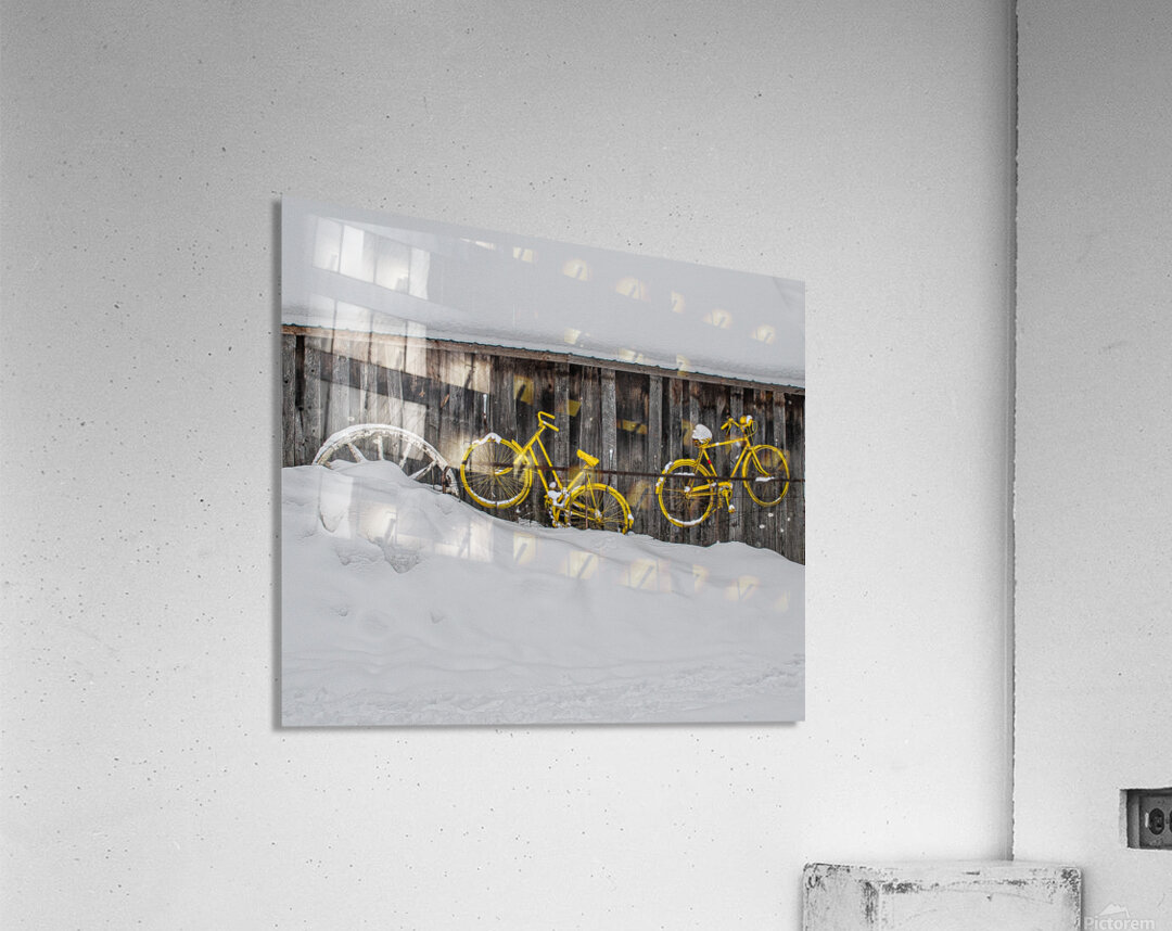 ZJS 9138 Acrylic Print