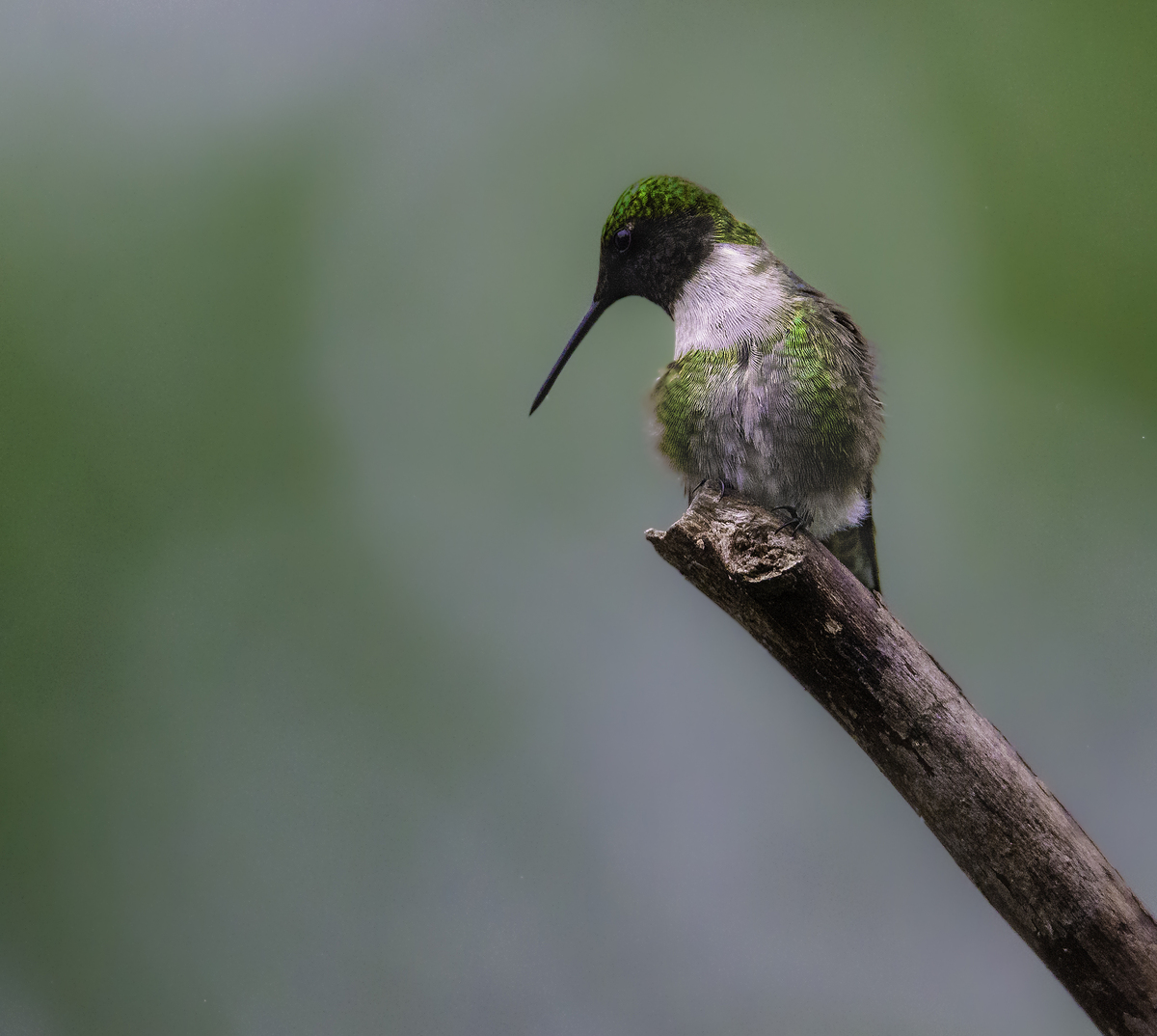 Impression de cadre personnalisé